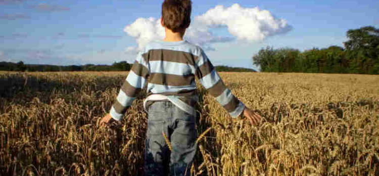 young boy standing in wheat field