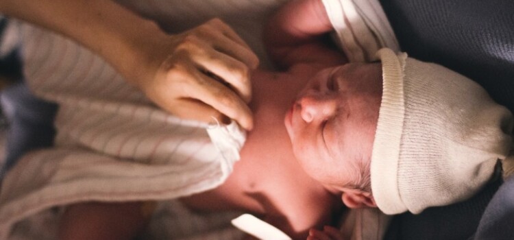 births abortion post roe